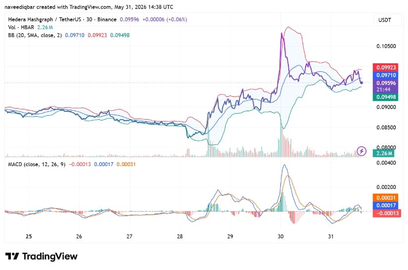 TradingView Shows Mixed Momentum