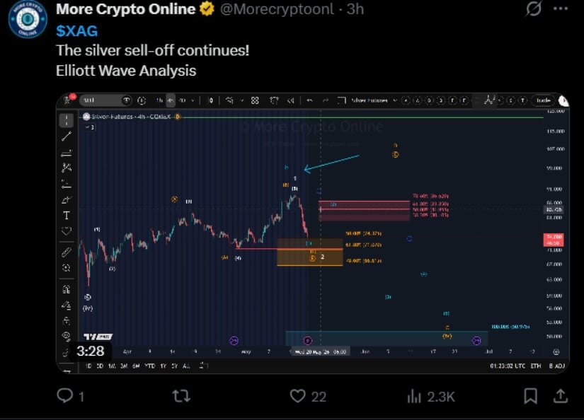 Elliott Wave Chart Signals Caution