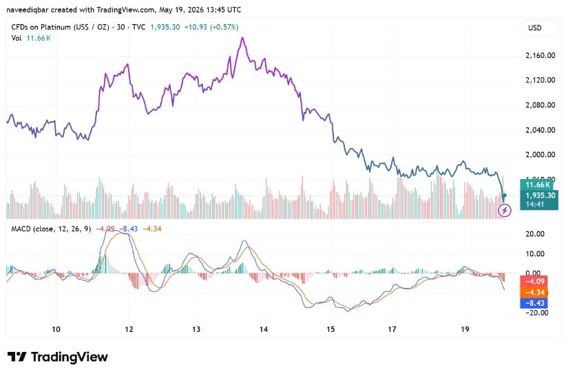 Bearish Momentum Leads On