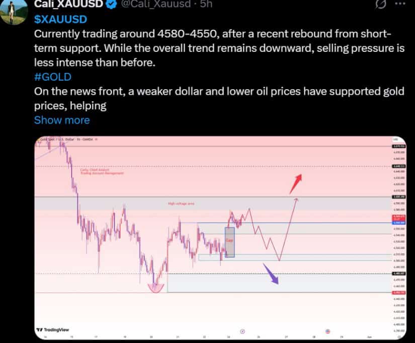 Gold Holds Above Key Support