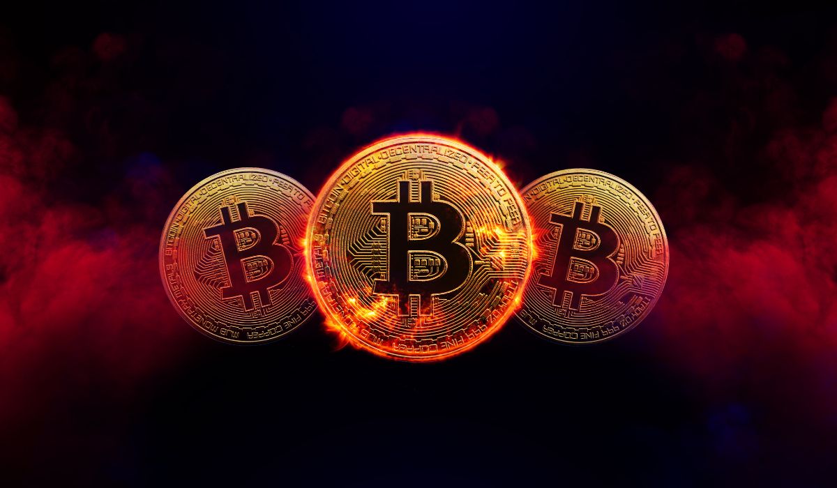 CEO of MiCA-licensed Madison Six shares long-term bitcoin strategy: holding for at least ten years