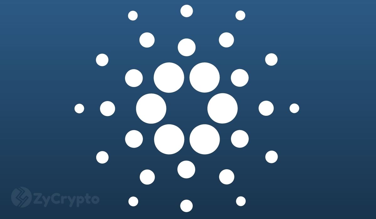 Charles Hoskinson To Critics: There Are Already Thousands Of Assets Running On Cardano