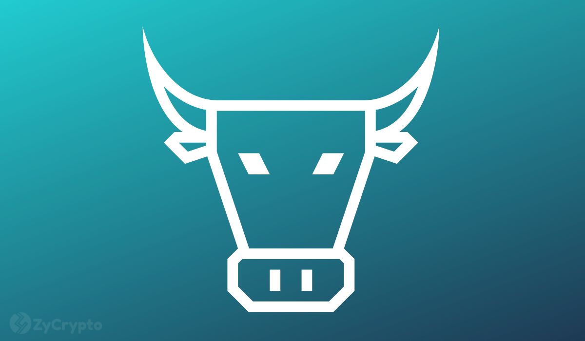 Over $10 Billion Worth Of Bitcoin Leaves Exchanges, Spelling Bullish Sentiments For BTC