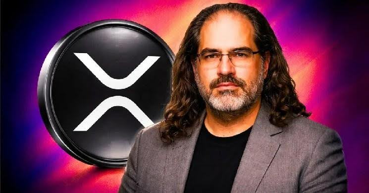 david-ripple