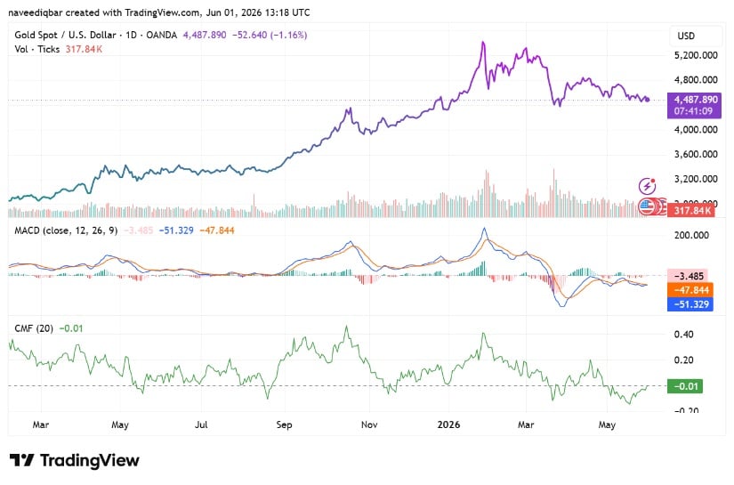 Daily Momentum Remains Weak on TradingView