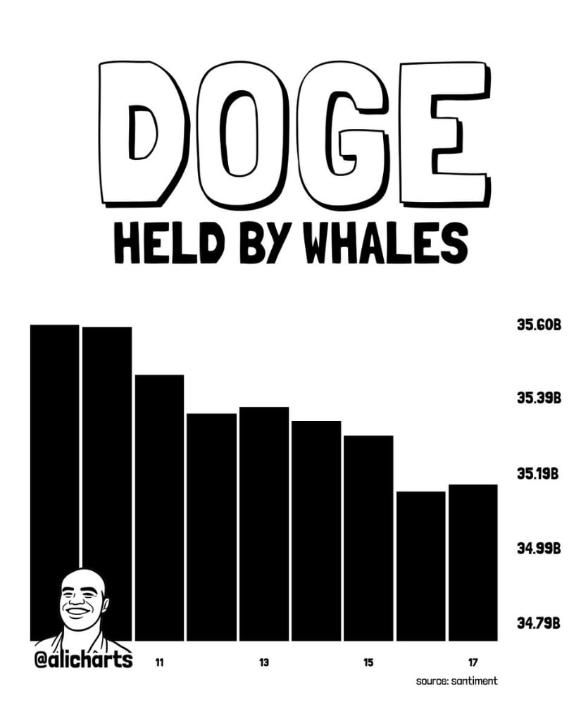 Whale Distribution Adds Pressure to the Dogecoin Price Prediction