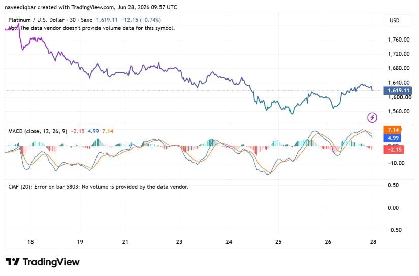 MACD Shows Rally Losing Speed