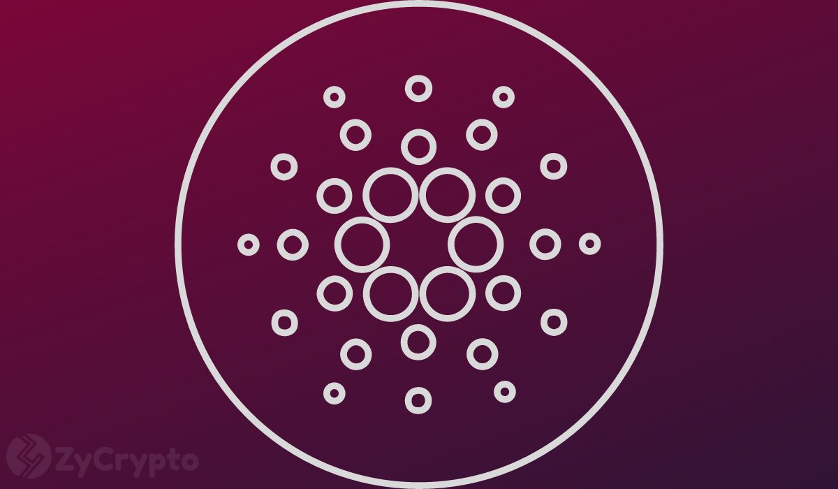 Pundit Dispels Concerns Around Cardano and Midnight, Reveals Surprising Insights