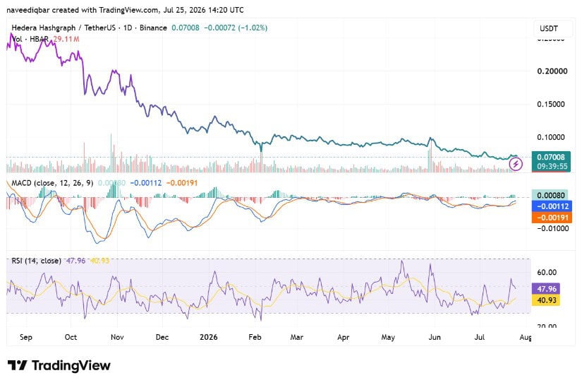 TradingView Signals Early Momentum Recovery