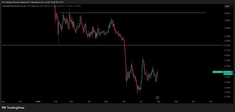 Contrary: Analyst Still Expects Another Move Lower