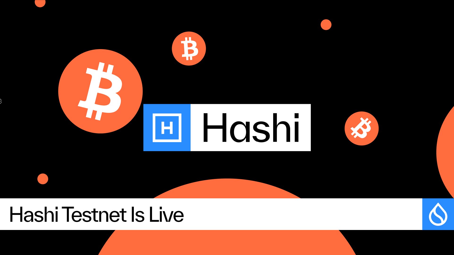 hashi-testnet
