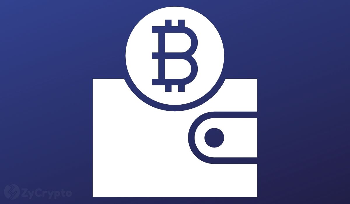 A Deep Dive Into The Bitcoin Wallets Of U.S Congress Members, And Why Bitcoiners Are Strongly Against Them