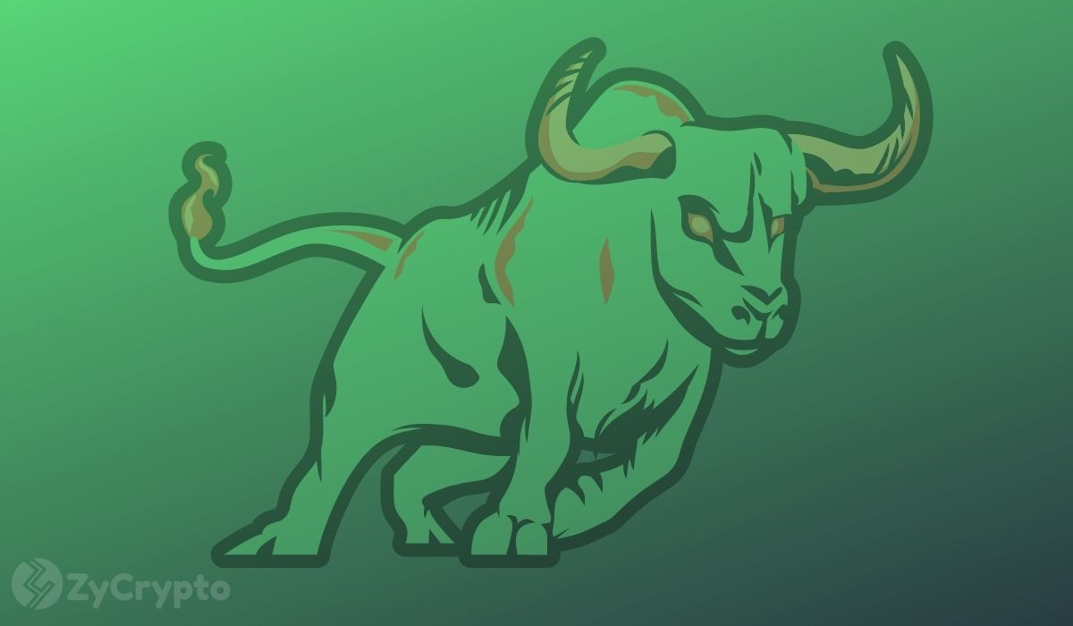 Bitcoin, Ether, Cardano, Solana Bull Rally In Second Half Of 2022 Is Unquestionable, Says Crypto Exec