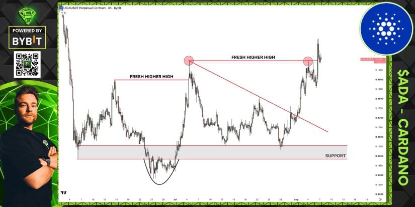 Higher High Strengthening Cardano's Structure