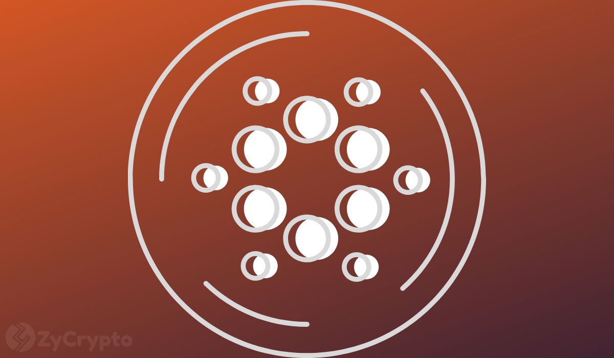 Cardano Price Skyrockets To $45 Or Crashes To $0.2? What To Expect Amid Key ADA Developments
