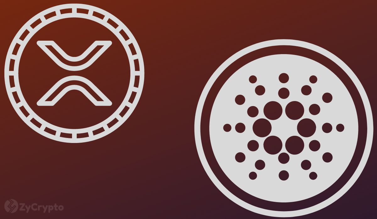 Cardano and XRP Massively Overvalued? Pundit Torches ‘Completely Utterly Useless’ ADA, XRP Markets