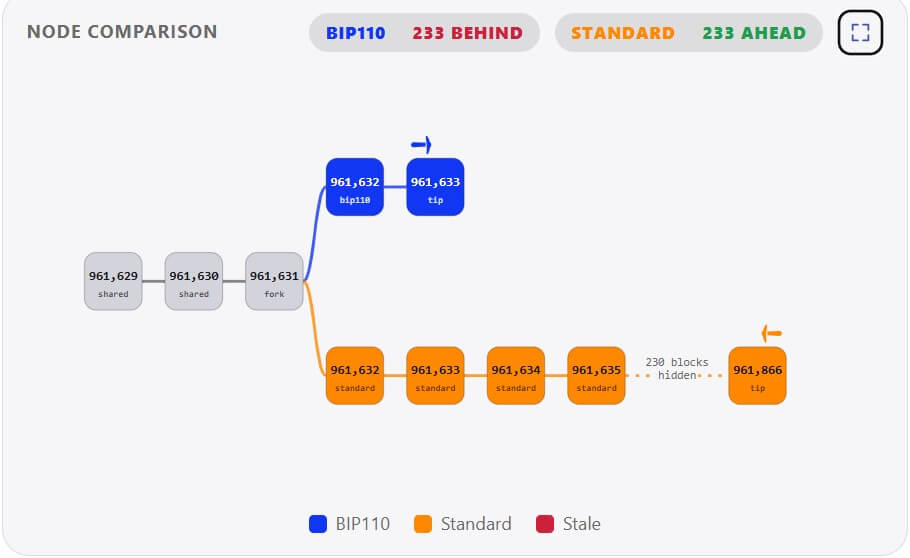 Bitcoin BIP-110 Caused a Chain Split