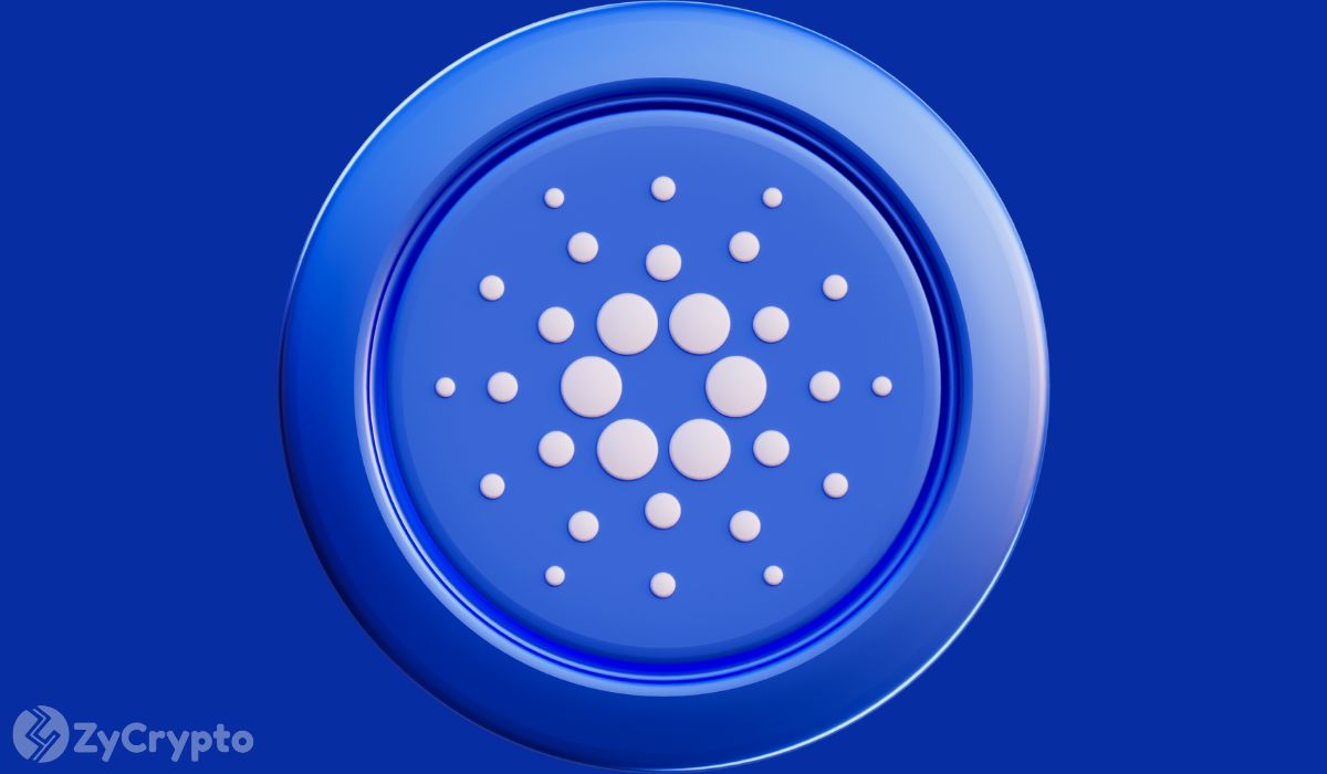Whales Take the Driver's Seat, Controlling 67% of Cardano as ADA’s Academic Model Gains Praise
