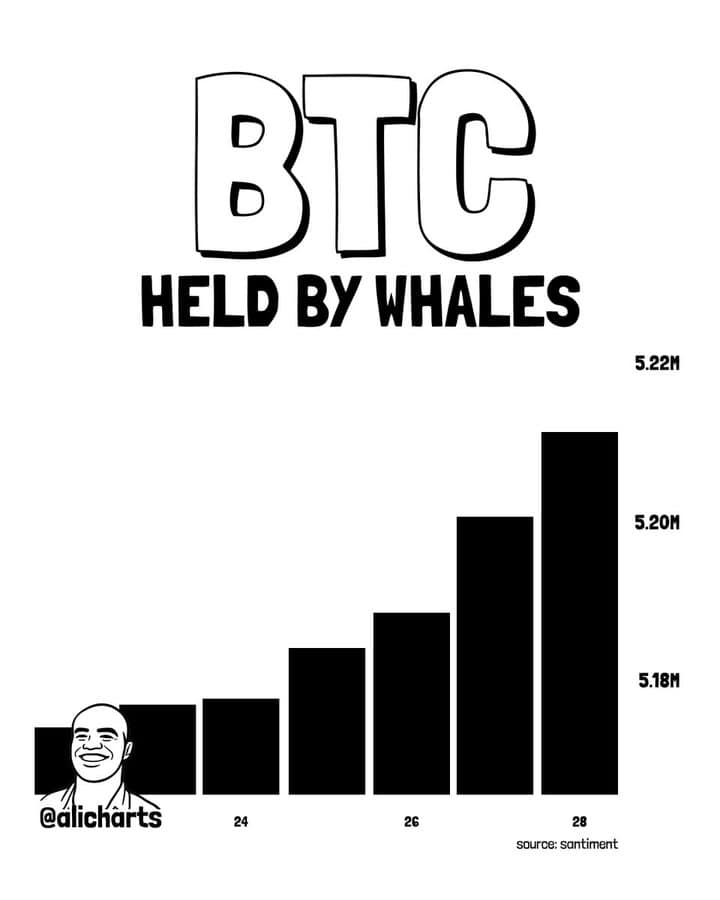 the chart shows Whales accumulated more than 39,154 BTC over the past week