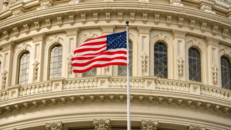 Flag waving in Capitol