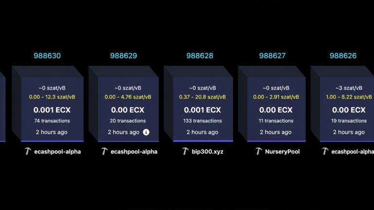 ECX blockchain screenshot.