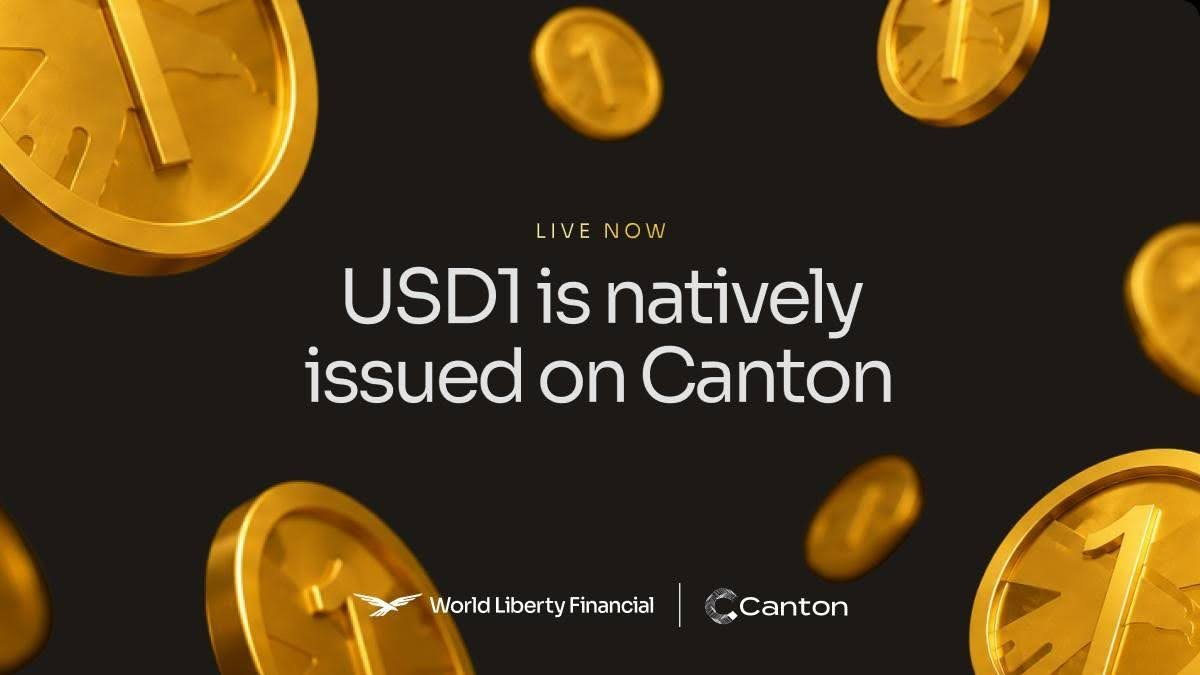 usd1-canton