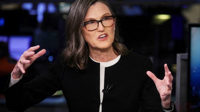 Image of Cathie Wood talking in a studio.