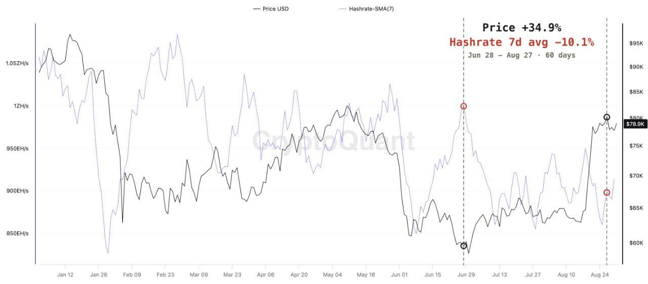 Bitcoin Price vs Hashrate