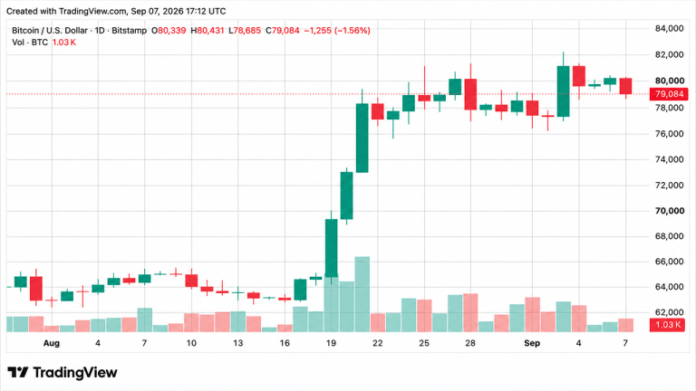 Bitcoin price chart daily