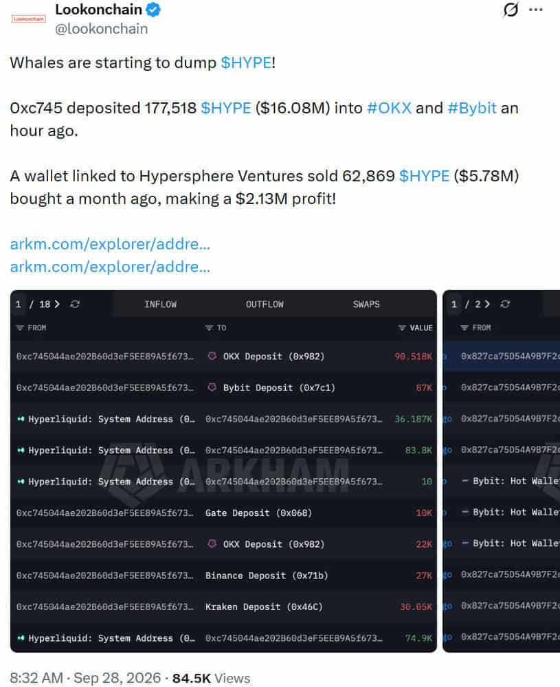 Hyperliquid HYPE whale activity chart
