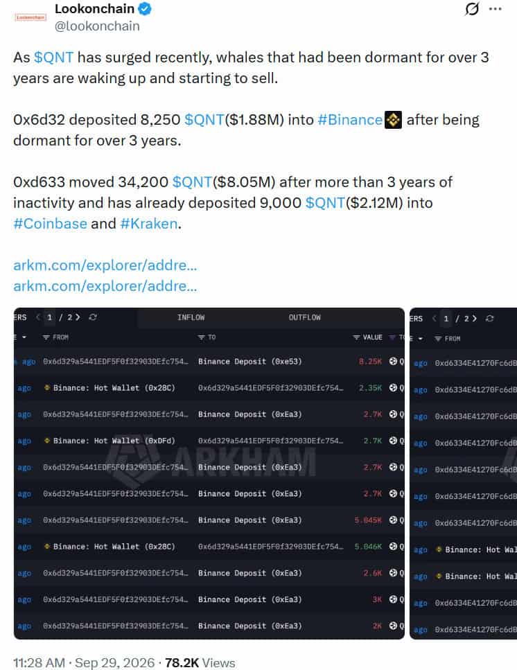 Quant QNT whale activity chart analysis