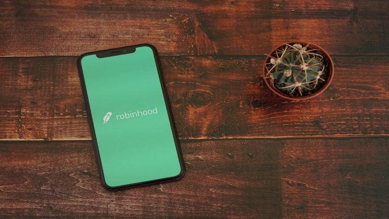 obinhood Iphone Display with Succulent Plant.