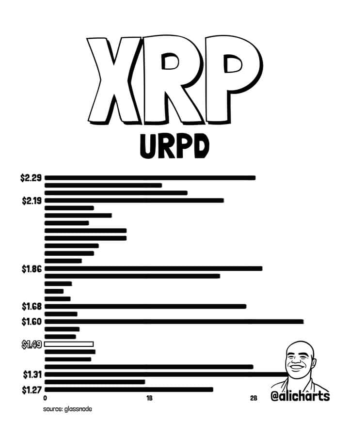 XRP whale accumulation chart
