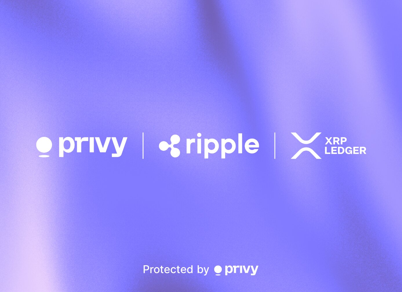 privy-ripple-xrp-ledger