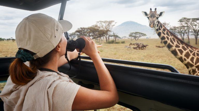 Woman tourist on safari in Africa watching giraffes and antelopes in the savannah. National park Serengeti